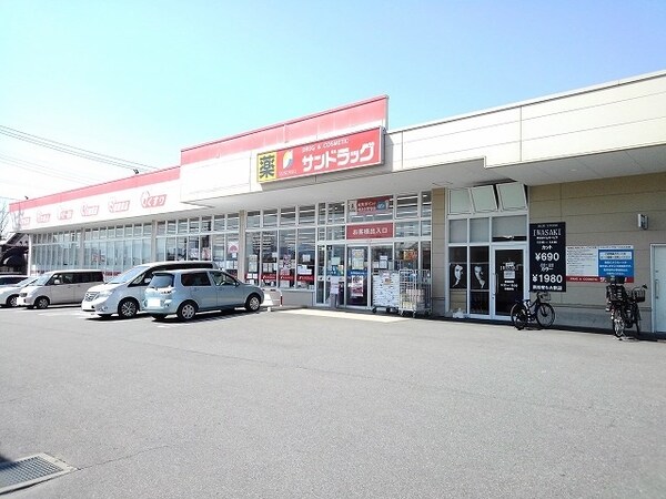 その他(サンドラッグ敷島店まで1100m)