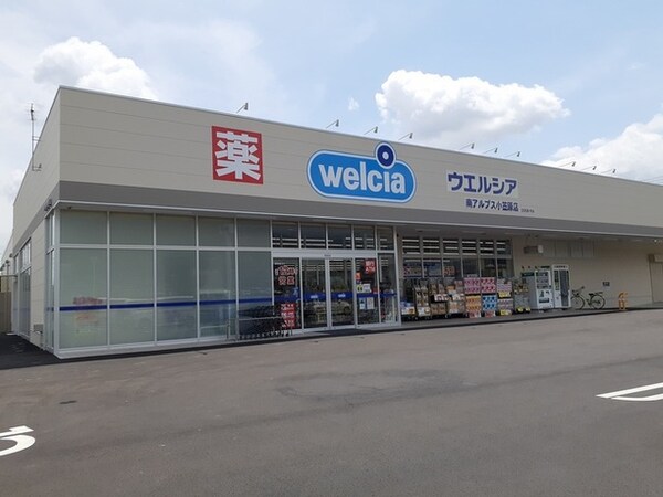 その他(ウエルシア南アルプス小笠原店まで600m)