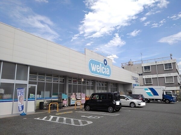 その他(ウエルシア甲府富竹店まで1100m)