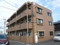 サザン・クロス