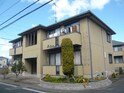 レプラコーン和泉