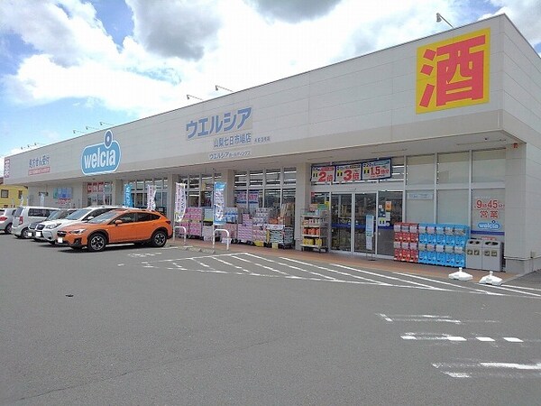 その他(ウエルシア山梨七日市場店まで800m)