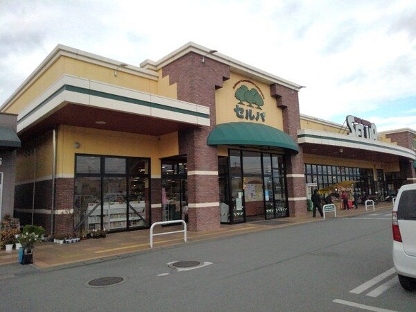 その他(セルバ 御坂店まで1600m)