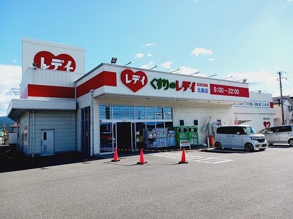 周辺環境(くすりのレデイ北条店様まで700m)