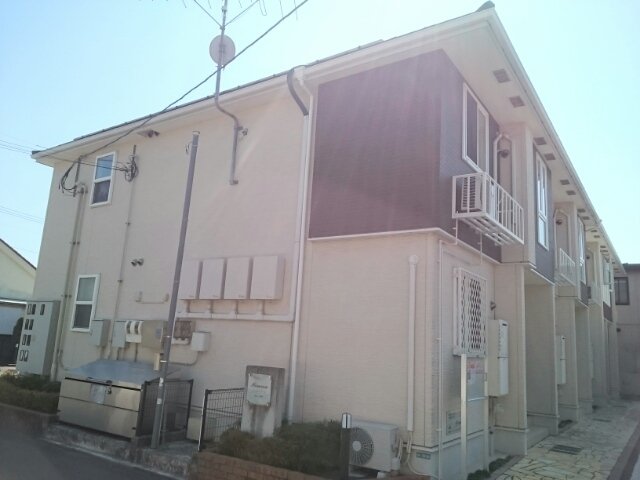 プリムローズ・Ｍ