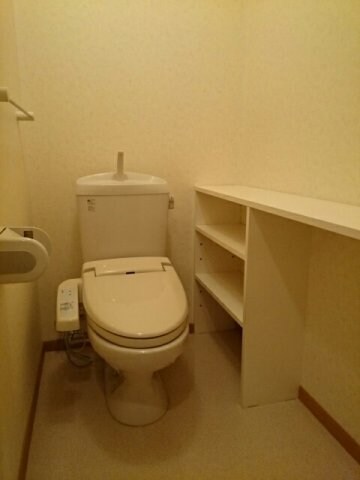 物件内観写真13　(落ち着いた色調のトイレです)