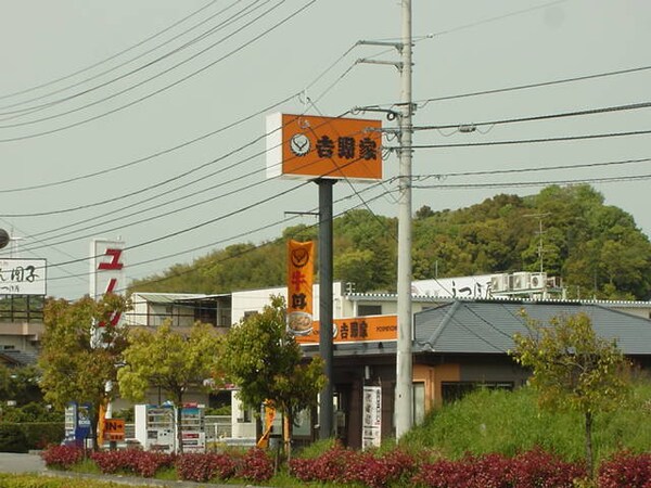 周辺環境(吉野家（牛丼）平田店まで300ｍ)