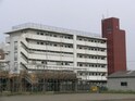 第81杉フラット