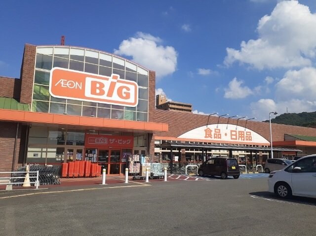 物件外観写真3　(ザ・ビッグ山越店様まで250m)