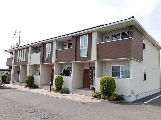 ビルゴ・プラシード