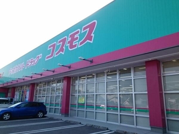 周辺環境(コスモス堀江店様まで550m)