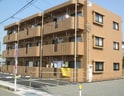 サザン・クロス
