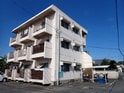 カーサ樹・