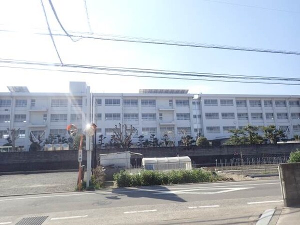 周辺環境(石井東小学校 707m)