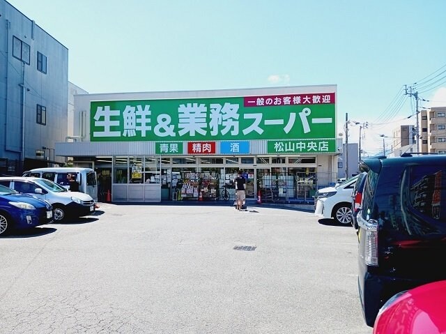 物件外観写真3　(業務スーパー松山中央店様まで350m)