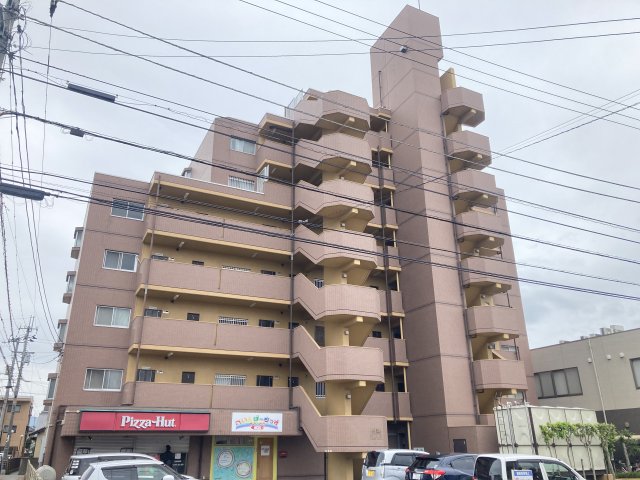 Ｓキャメリア・