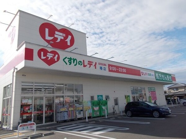 周辺環境(くすりのレデイ椿店様まで1300m)