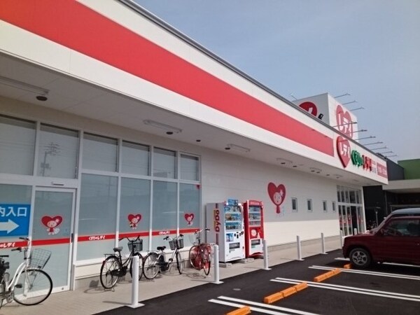 周辺環境(くすりのレデイ古川店様まで800m)