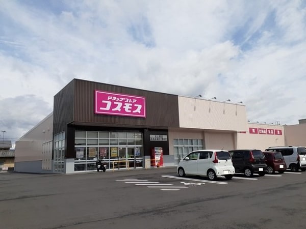 周辺環境(コスモス北土居店様まで700m)