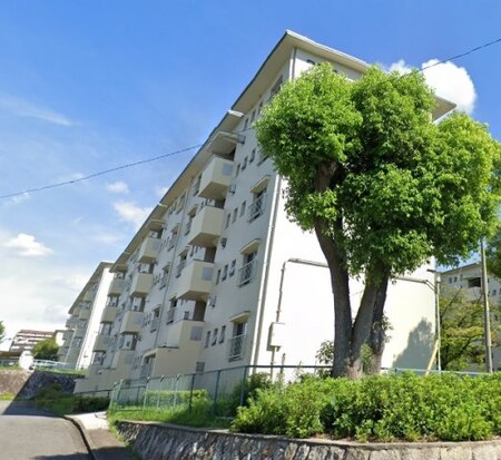 金剛第三住宅214棟外観写真