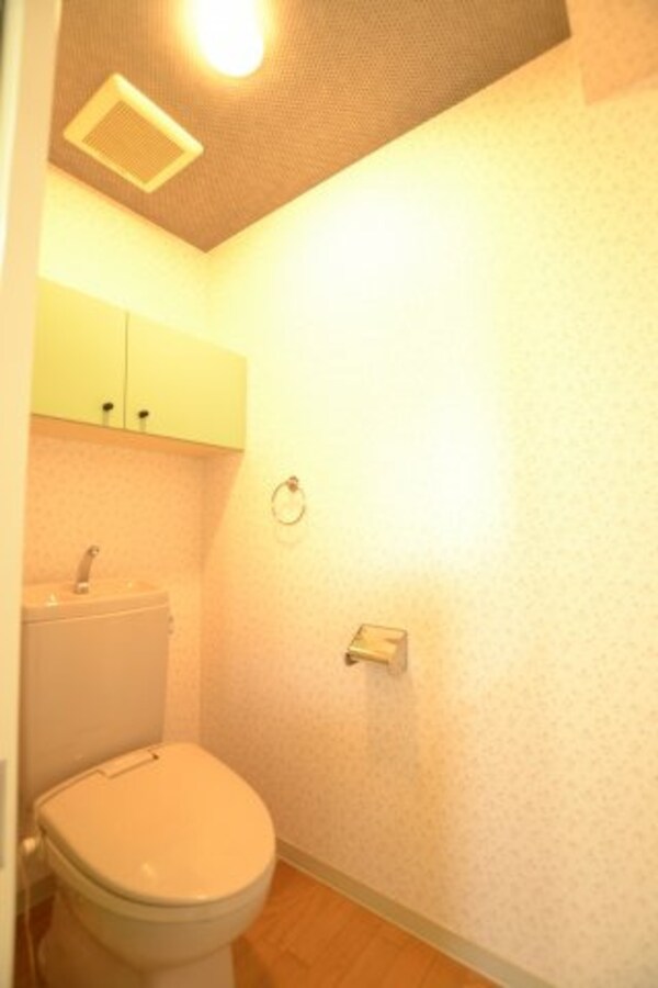 トイレ(同建物・別号室の写真です。参考までにどうぞ。)