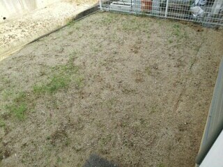 バルコニー(庭)