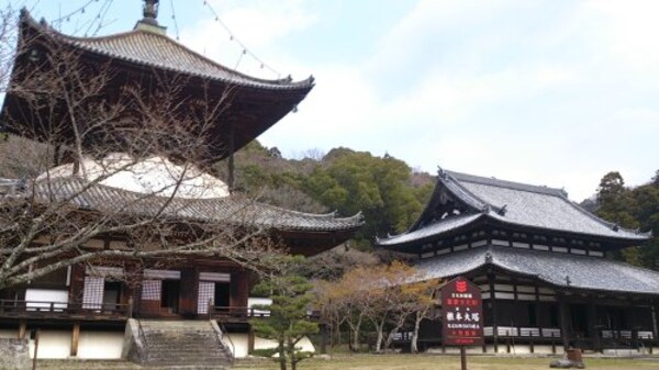 周辺環境(根来寺様 2220m)