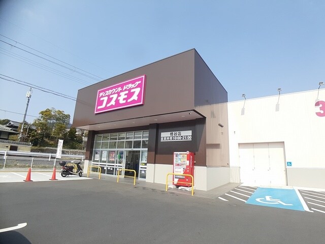 物件内観写真31　(ドラッグストアコスモス 橋谷店様 1351m)
