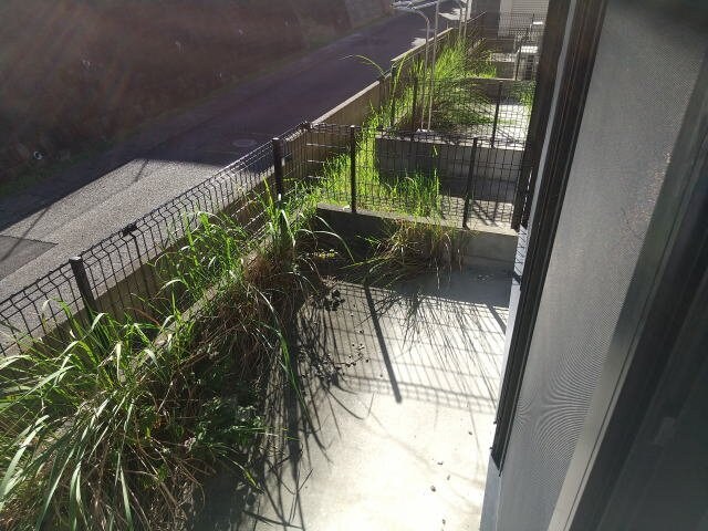 物件内観写真22　(専用庭)