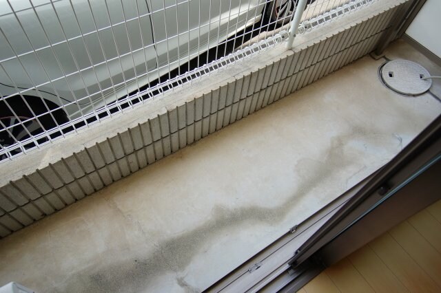 物件内観写真16　(庭)