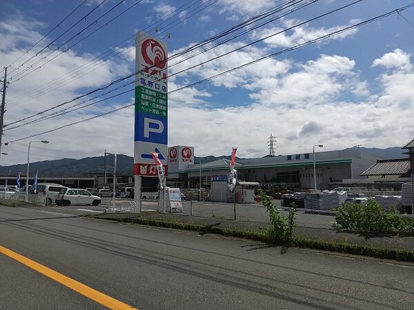 周辺環境(コメリハード＆グリーン 高野口店様 1791m)
