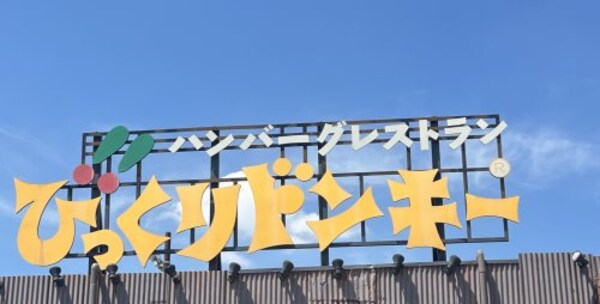 周辺環境(びっくりドンキー 小雑賀店様 1168m)