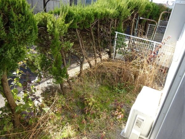 バルコニー(同仕様：庭)