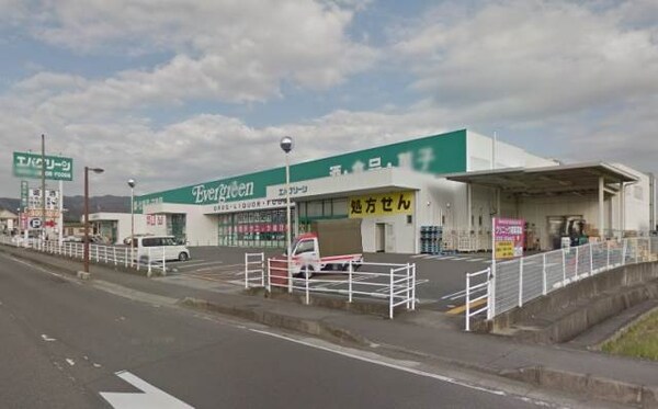 周辺環境(エバグリーン岩出中迫店様 1199m)