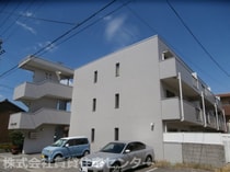 ニューライスマンションの外観写真