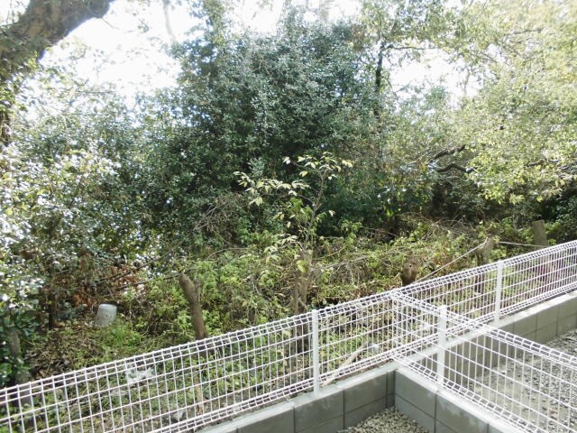 物件内観写真28　