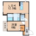 ベレオ本町の間取図