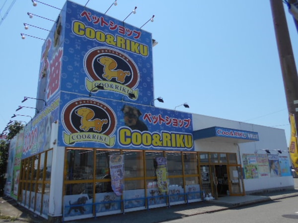 周辺環境(ペットショップCoo&RIKU 和歌山店様 1799m)