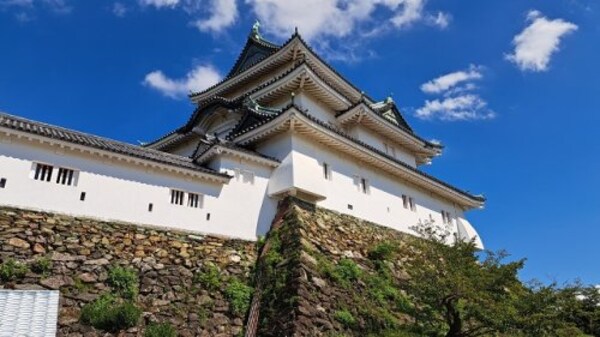 周辺環境(史跡 和歌山城 1814m)