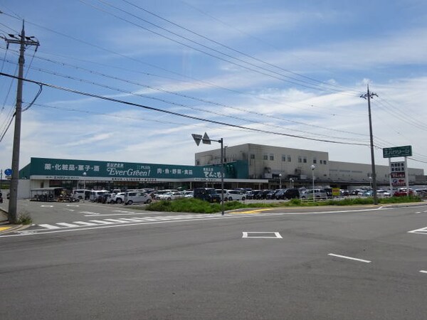周辺環境(スーパーエバグリーンプラス 和歌山北インター店 1170m)