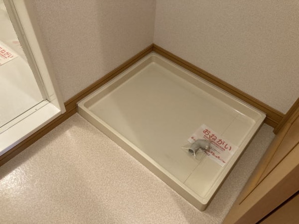 建物設備(同仕様)
