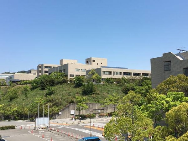 周辺環境(国立和歌山大学 1330m)