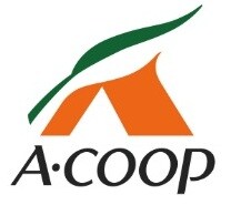 物件内観写真30　(Aコープ 紀南COOKGARDEN店様 1934m)