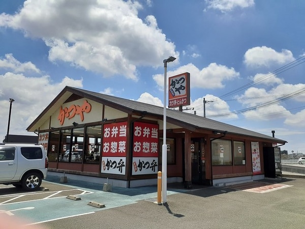 周辺環境(かつや 和歌山北インター店様 540m)
