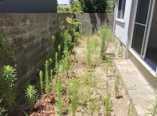 物件内観写真19　(専用庭)