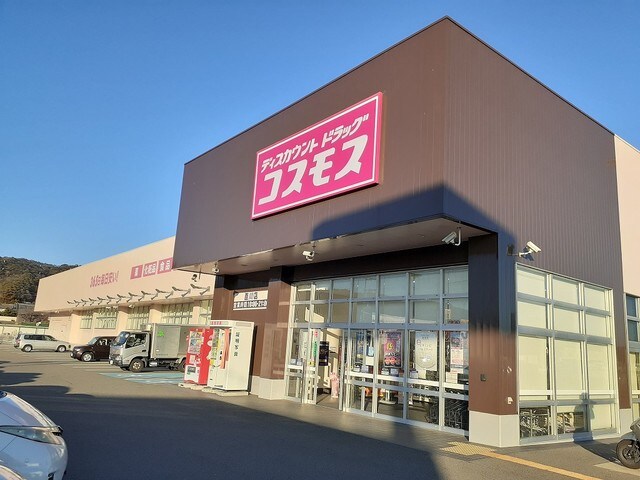 物件内観写真30　(ドラッグストアコスモス 直川店様 1075m)