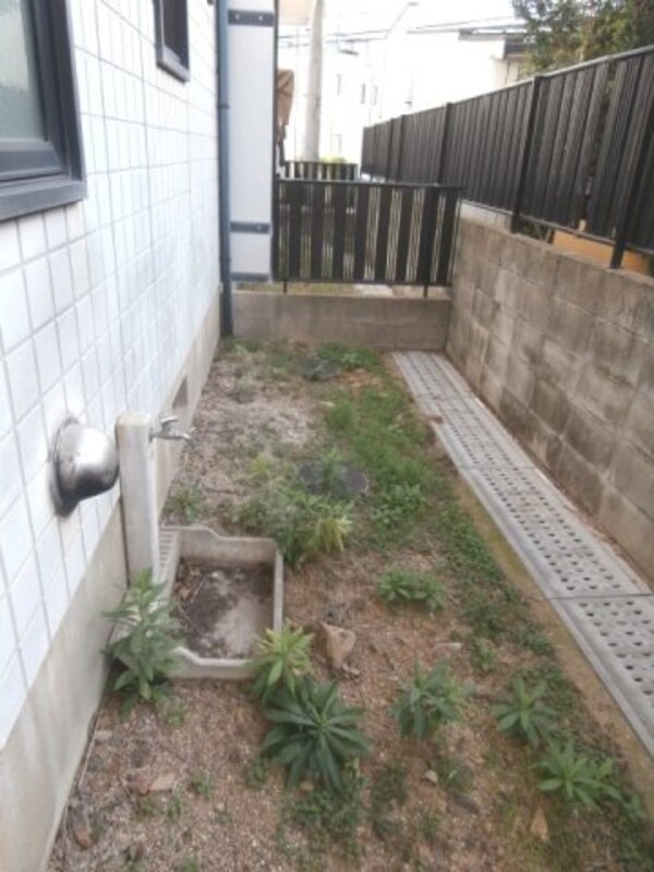 庭