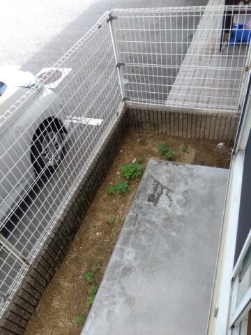 物件内観写真22　(専用庭)