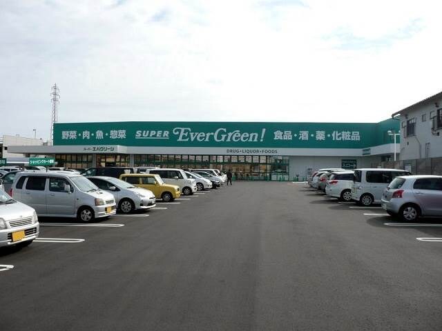 物件内観写真29　(スーパーエバグリーン四ヶ郷店様 1485m)