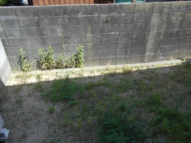 物件内観写真18　(庭)